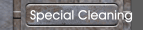 Special Cleaning
