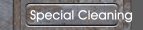 Special Cleaning